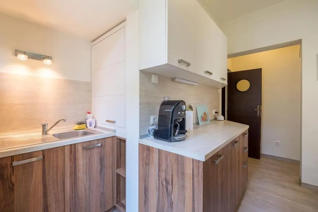 Very Central & Aristocratic 2 Bedroom Apartment With Air Conditioning Sofia